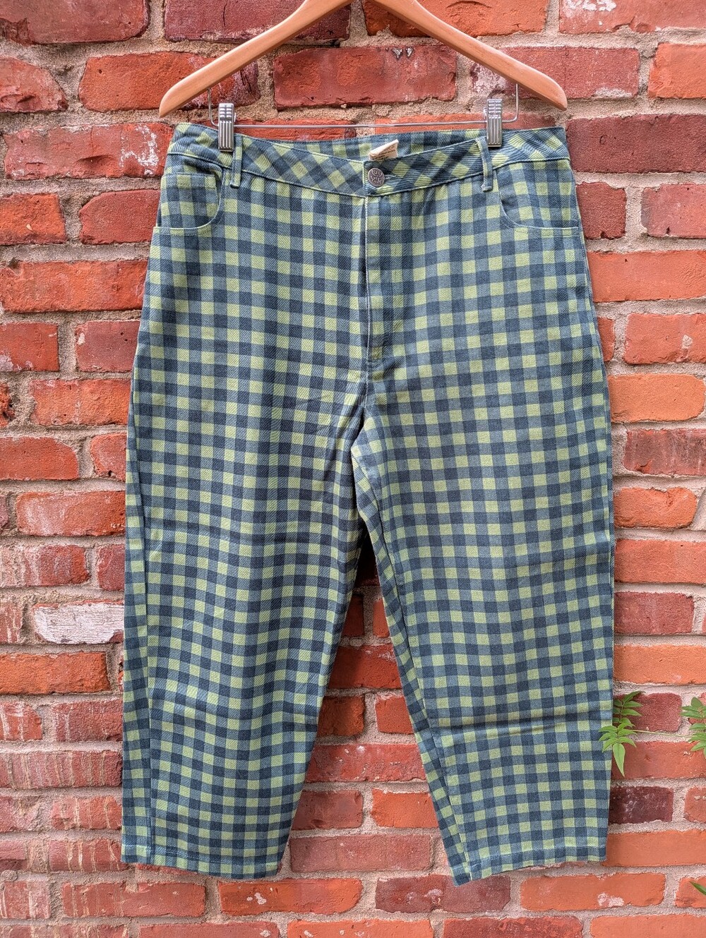 Lucy & Yak Gingham Pants Size 34